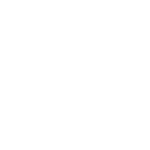 2 Type